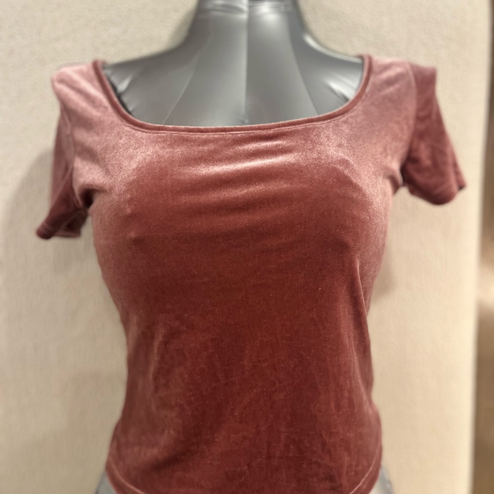 SHEIN Rose Brown Velvet Scoop Neck Short Sleeve Top